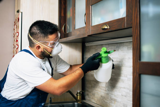 Trusted Perry, OK Pest Control Experts