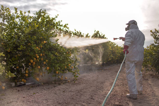 Best Cockroach Control Services  in Perry, OK