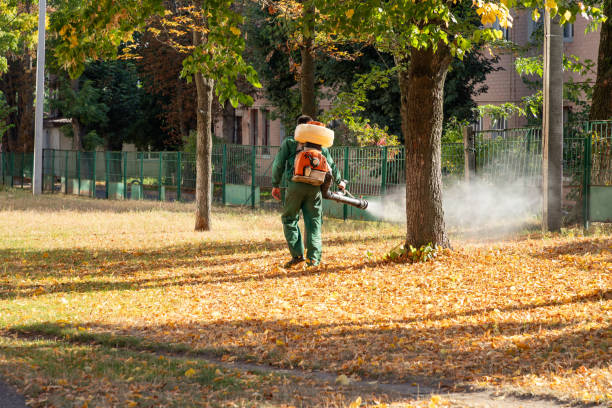 Best Best Pest Control Companies  in Perry, OK