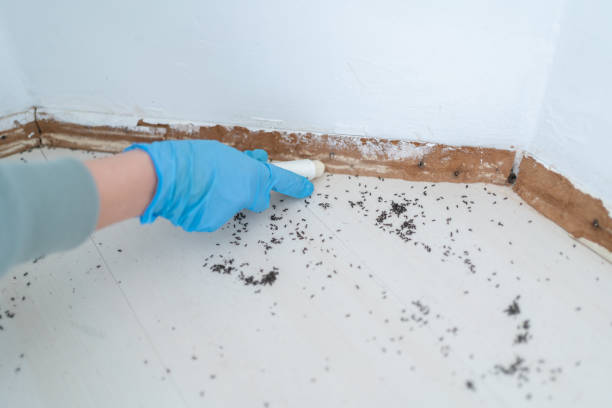 Best Commercial Pest Control Services  in Perry, OK