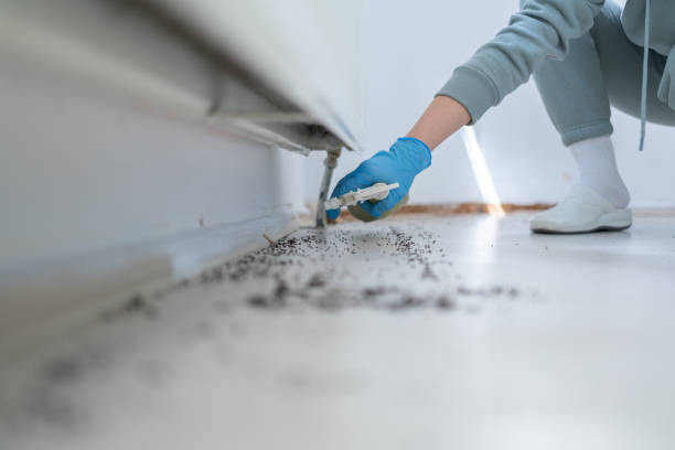 Best Pest Removal Services  in Perry, OK