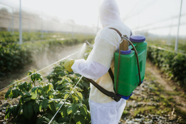 Best Commercial Pest Control Services  in Perry, OK